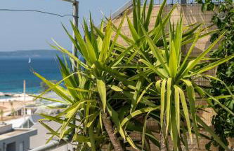 Split-Luxury apartment Žnjan beach - Foto 23