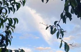 casa di Beatrice - Foto 40