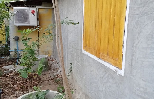 peaceland farmstay - Photo 14