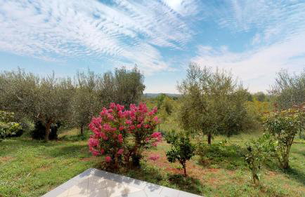 Apartments Goga - Foto 16