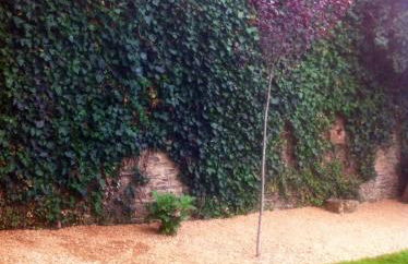 Casa Rural Pico del Lugar - Foto 24