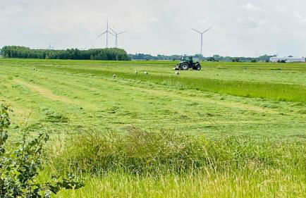 Kleine Burg Ovelgönne - Foto 32