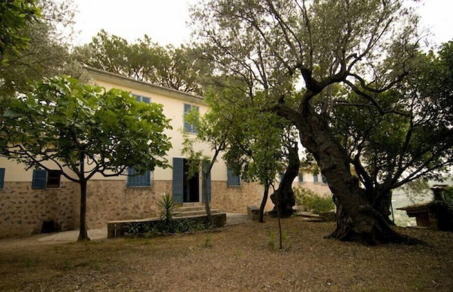 Es Raco de Soller - Foto 13