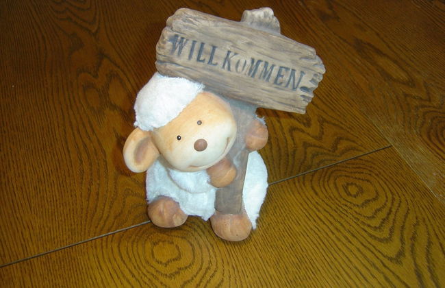 Geraumige Ferienwohnung im Sauerland - Foto 17