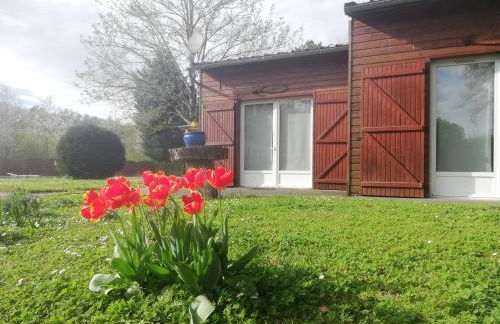 Chalets Moulière Evasion - Foto 23