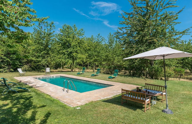 Casale dei Tigli 8 in Castel Giorgio - Foto 3