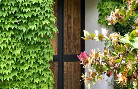 Masseria La Torre - Foto 95