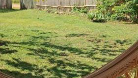 Casa da Serra dos Alves - Foto 5