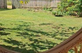 Casa da Serra dos Alves - Photo 5