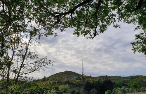 Quinta de Cerdeiró - Foto 13