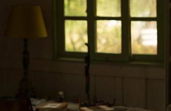 Alugo minha casa na floresta! - Foto 37