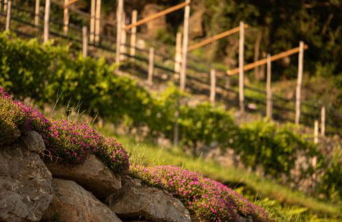 Pergola Residence - Foto 67