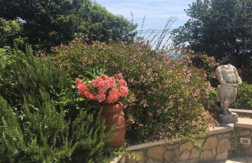 Podere Belvedere - Villa with private swimming-pool - Foto 33