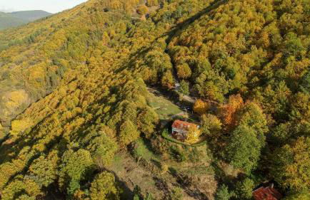 Solar da Castanha - Forest House - Foto 8