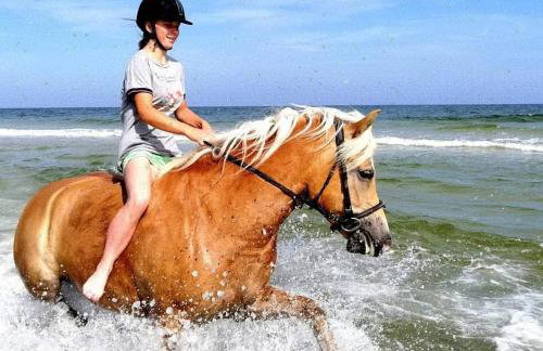 Babie Lato - Foto 47