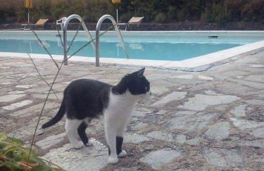 Villa Badia a Ruoti - Foto 46