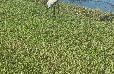 Florida Vacation Condo - Foto 34