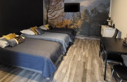 Pokoje przy Zamku - Foto 3