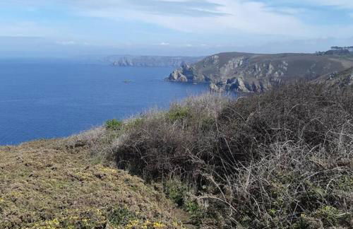 Les moussaillons, Les gîtes de Tréguennec - Photo 5