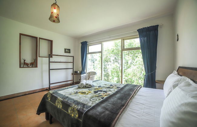 Samrakshitha Suits - Foto 8