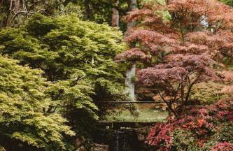 The Rotunda - Foto 53