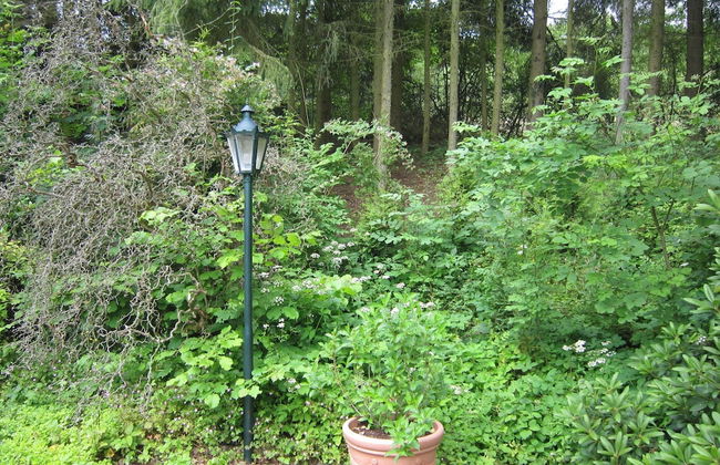 Strotzbusch Forest Hideaway - Photo 17