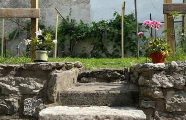 Ausugum Apartments - Centralissimo Chic - Foto 13