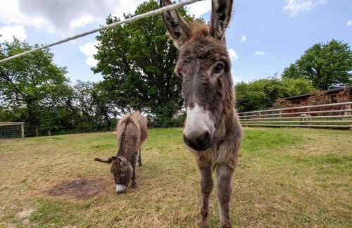 Nestledstays- The Lake House - Foto 12