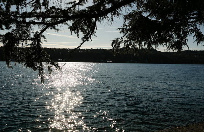 Alma - Near Lake in Sal - Photo 2