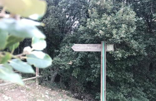 A l Aube du Midi - Foto 71