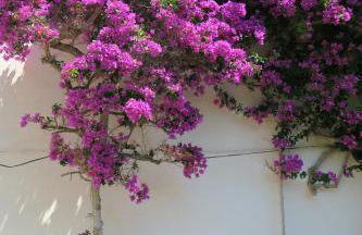 Las Rocas - Casa Diaz - Foto 40