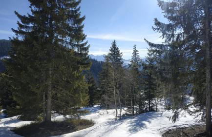 ASAI707-C03 Appartement 3 pièces - Les Saisies - 7 personnes - Foto 17