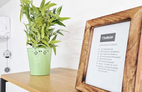 Studios Simón Murcia - Foto 44