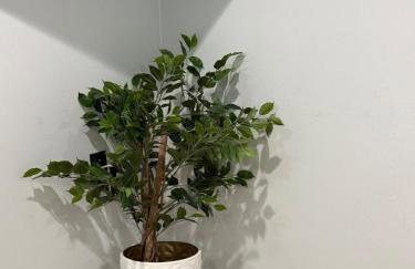 Modern Studio with Private Patio - Foto 26