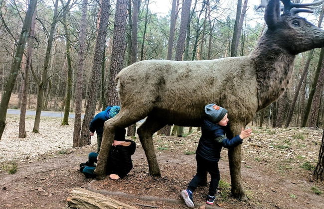 Large Holiday Home for Nature Lovers - Photo 23