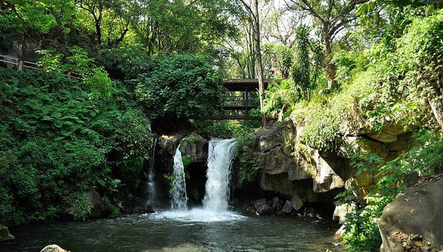 Rhodes Private Tours - Photo 5, Butterflies Valley of Rhodes