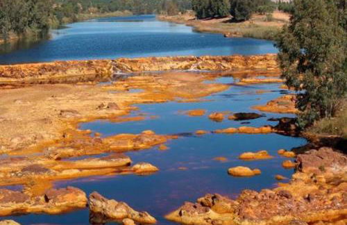Alojamiento rural Las Alberquillas - Foto 38