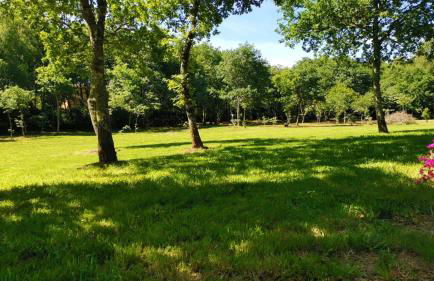 Casa do Castiro - Foto 10