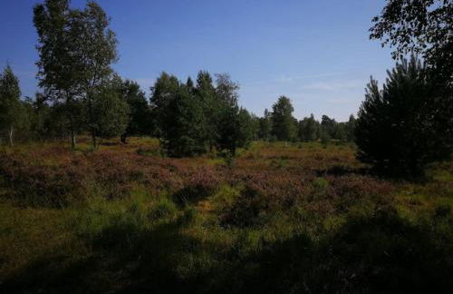 Holiday Home Natur by Interhome - Foto 21