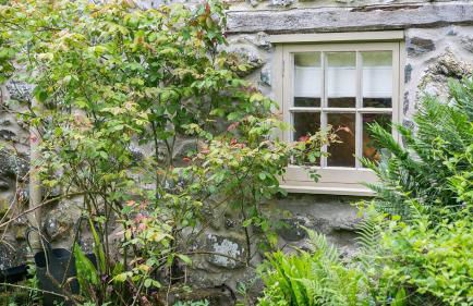 Ty Fry Cottage - Foto 33