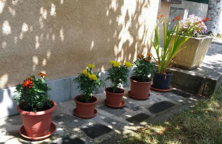 Casa Rural Las Tuyas en Segovia - Foto 11