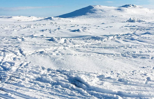 10 Person Holiday Home in Nesbyen-by Traum - Photo 14