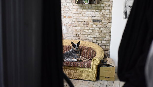 Private analoge Fotografie Erfahrung in Berlin - Foto 2, Schnippel im Studio