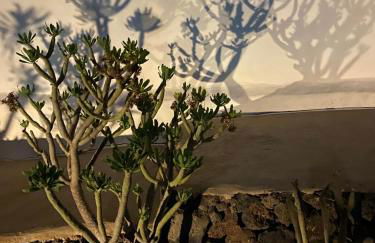 Casa Kira, Macher - Foto 21