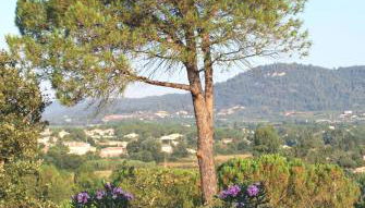 Le Mas de Héron - Photo 3