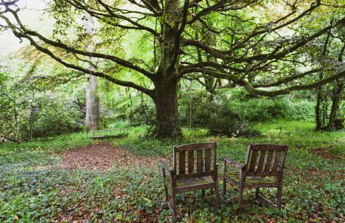 Catchfrench Manor - Foto 35