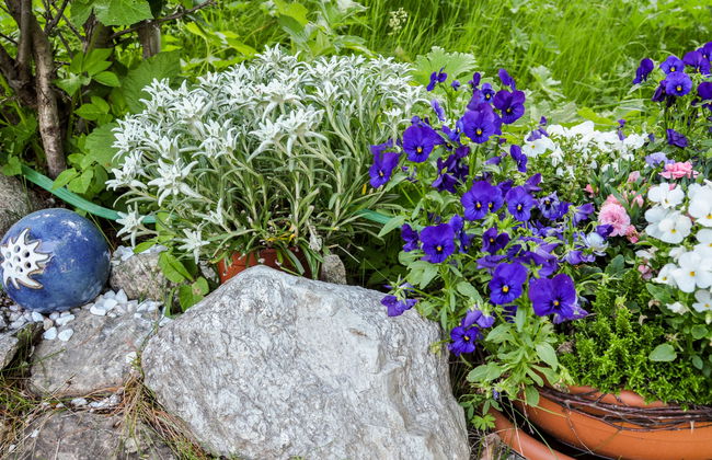 Himmulriich - Foto 27