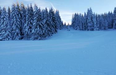 Le Chalet des Pas Sages - Foto 8