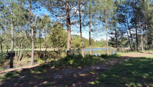 Chez Christian Chalet aux bords du lac de Peyre - Foto 5