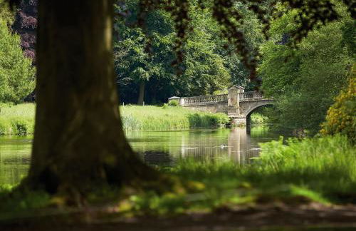 The Knoll Tower - Foto 35